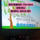 불새노래방 이미지