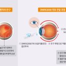대웅 서울경제