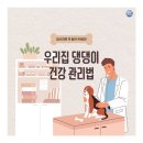 웰펫동물병원 네이버블로그
