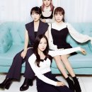 K.M.T Corp 이미지