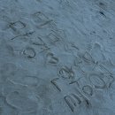 일등약국 | 직장인 일상 블로그 | 보령 비체펠리스 후기 | 동계 직원 연수 | 2025년 12월 3주차