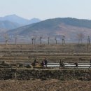 (주)씨퓨처