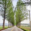 팔덕면사무소 이미지