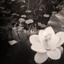 범어사 성보박물관 이미지