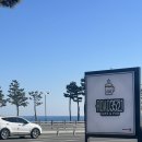 로드3521