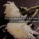 보람장묘 - 곡성군 청계동로 457 | 보람장묘