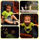 리더아이어린이집 이미지