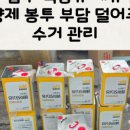 영춘주옥 이미지