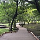 절물생태관리소 (절물자연휴양림) 헤드라인제주