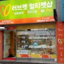 코리아애견샵 네이버블로그