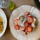 펫브런치 이미지