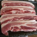 소나무숲아래 이미지