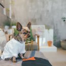 서부농업기술센터 이미지