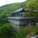 연주샘 이미지