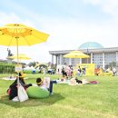 노란우산중앙회 이미지