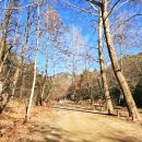 우리들의명소 | 서울 근교 힐링 명소 서울대 관악수목원 안양 수목원 산책 후기