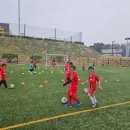 프리미어FC | 프리미어FC 방문 후기: 일산축구교실에서 경험한 체계적 수업의 매력