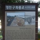 영천 구 화룡교 네이버블로그