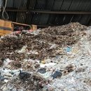 내포그린 이미지