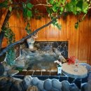 오색연가 이미지