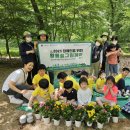 2023.06.01 (목) 장애인을 위한 왕릉숲 그린케어 (헌릉)-한국육영학교 이미지