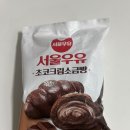 GS25 장전효원점 | GS25 편의점 빵 추천 : ‘서울우유 초코크림소금빵’ 얼먹+에프굽 후기