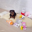 통도동물병원 | 벨릭서 헤파플러스 강아지 간보조제 간영양제 후기