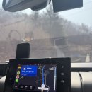 미친서각마을 축제장 | 26년 논산 딸기축제 첫째날 방문 체험 후기 - 논살딸기 구매하기 맛집 주차 꿀팁/ 애견동반