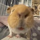 여기서놀자 네컷사진 이미지