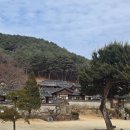 선비뜨락 | 양반의 도시 안동. "도산 서원"