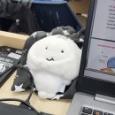 CU편의점 원광대학교 프라임관 | 개강 3주차 (9.15~9.21)