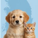 김용태산업동물병원 | 반려동물 키우기 부담 커졌다…대구 진료비 '상위권'에서 벗어날 수 없는 이유