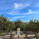 남원읍-32 | 제주 가족펜션 제주도 실내 자쿠지 숙소 제주 독채 펜션