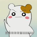 엠씨티 짐 시청 이미지