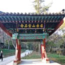 보석사   은행나무 이미지