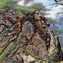 흙과소나무 이미지