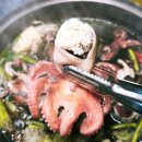 노원-현장-1091 | 봄철 기력 보충 끝판왕! 노원 제철집에서 즐기는 탱글탱글 쭈꾸미 샤브샤브