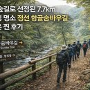 명품소나무길 | 정선 항골숨바우길 7.7km 트레킹 명품 숲길 다녀온 찐 후기