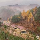 에코리움 이미지