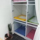 개운하개 이미지