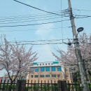 대덕초등학교도룡분교 이미지