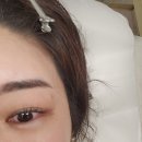 수성구속눈썹펌 두배커지는 눈매 누벨르브로우