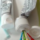 믿을 사람 없는 전세사기…<b>직방</b>·다방 부동산 앱이 '지킴'?