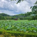 문경수산물직매장 이미지