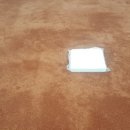 거금야구장 이미지