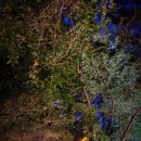 국망봉자연휴양림 이미지