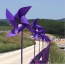 퍼플여행 이미지