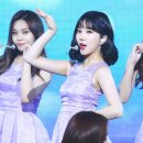 은하 카카오 검색결과