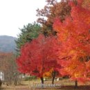 구암동424 이미지