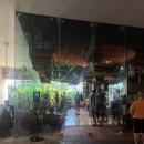 투하트호텔-워터파크점- | 칸쿤 스칼렛아르떼 2일차 - 셀하 워터파크, 타시도 테판 퓨전(예약O) 후기